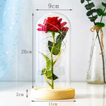 Eternal Flower Rose | Valentine’s Day gift | Gift | Girlfriend Gift | Home Decor